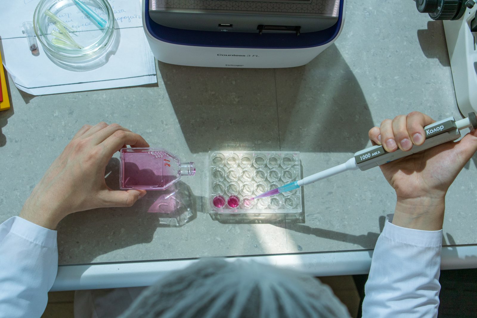 Scientist working in the Faculty of Food Engineering and Biotechnology